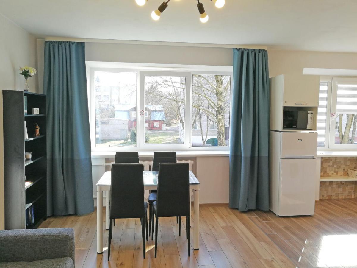 Siauliai Central Apartment @ Traku Street Kültér fotó